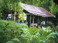 Camp 1 - click for larger image in new window