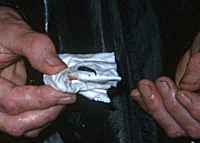 Leech - click for larger image in new window