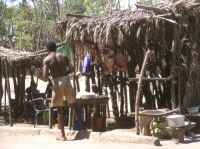 Butchers shop - click for larger image in new window