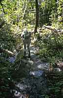 Rope ascent - click for larger image in new window