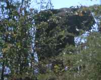  - click for larger version