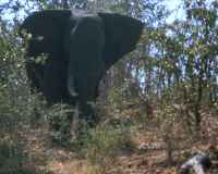  - click for larger version