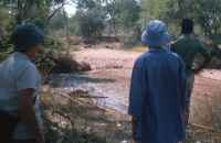 Bush-walking - click for larger version