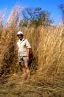 Click for larger version