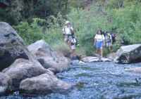 Click for larger version