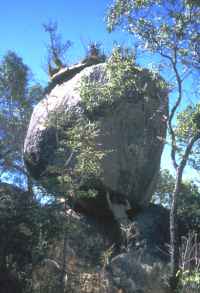 Click for larger version