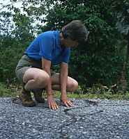  - click for larger version