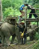  - click for larger version