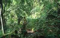  - click for larger version