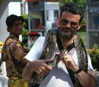  - click for larger version