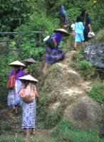 Locals in party wear