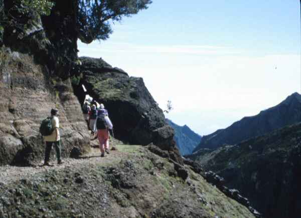 Madeira walking
