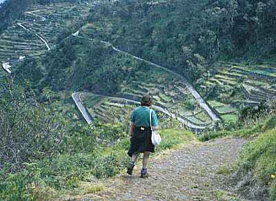 Road down to Porto do Moniz