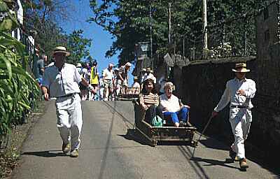 Road-sledge in Funchal