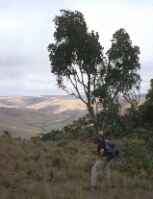 Click for larger image in new window