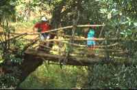 Click for larger image in new window