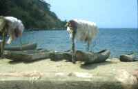 Nets and dugout canoes - click for larger version