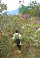 Click for larger image in new window