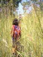 Click for larger image in new window