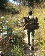 Click for larger image in new window