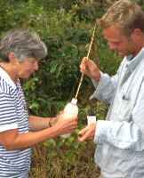 Click for larger image in new window