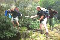 Click for larger image in new window