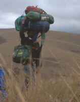 Click for larger image in new window