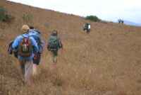 Click for larger image in new window