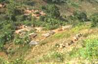 Click for larger image in new window